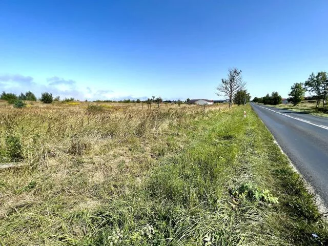 Działka 15 000,00 m², oferta nr , 15476, Niekanin, Polankowa