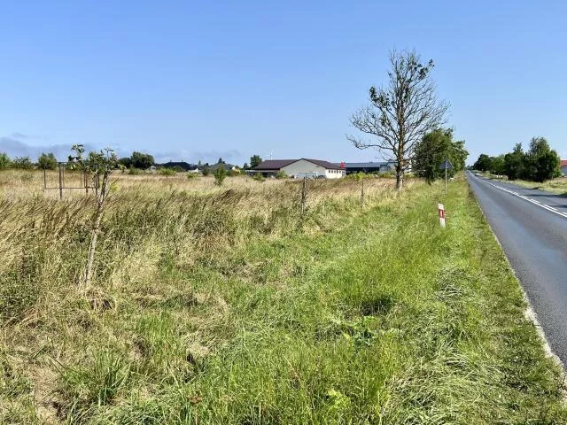 Działka 15 000,00 m², oferta nr , 15476, Niekanin, Polankowa