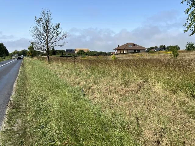Działka 15 000,00 m², oferta nr , 15476, Niekanin, Polankowa