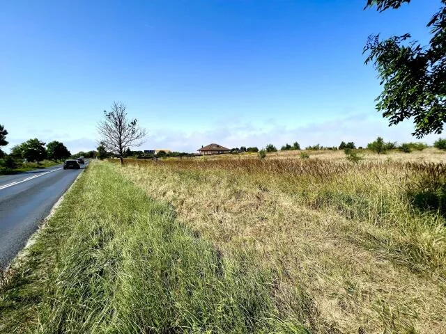 Działka 15 000,00 m², oferta nr , 15476, Niekanin, Polankowa