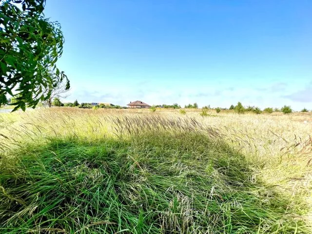 Działka 15 000,00 m², oferta nr , 15476, Niekanin, Polankowa
