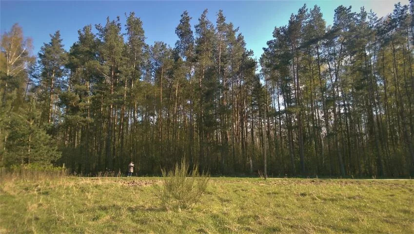 Działka 3 058,00 m², Budzistowo, Stare Miasto, Sprzedaż