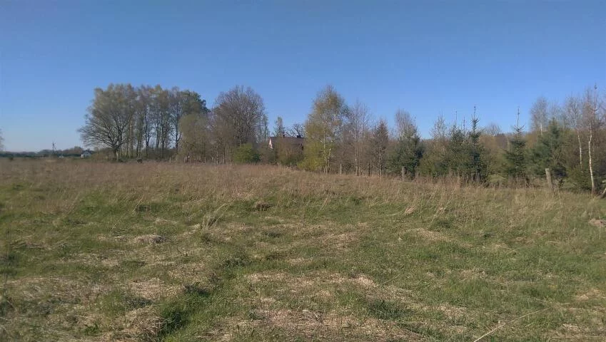 Działka 3 058,00 m², oferta nr , 20925, Budzistowo, Stare Miasto