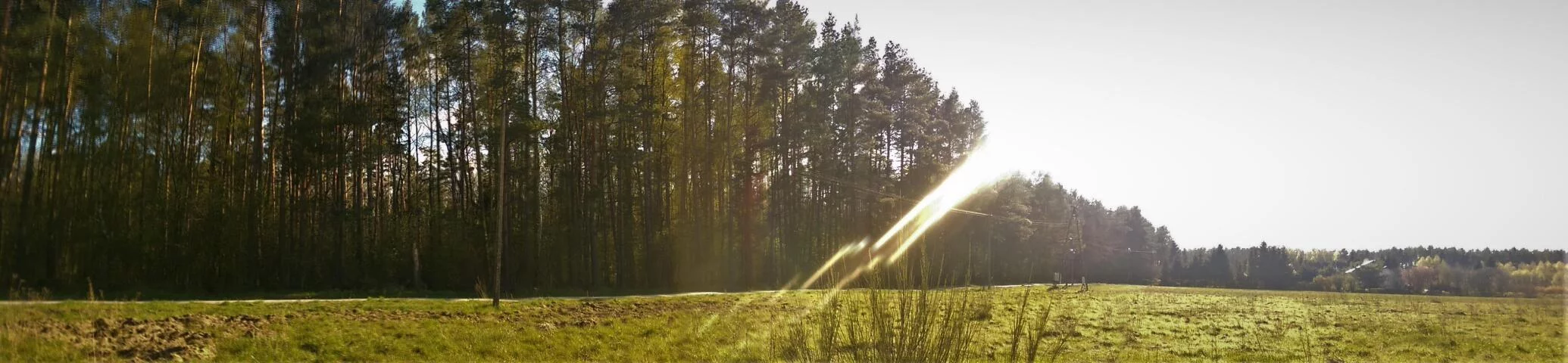Działka 3 058,00 m², oferta nr , 20925, Budzistowo, Stare Miasto