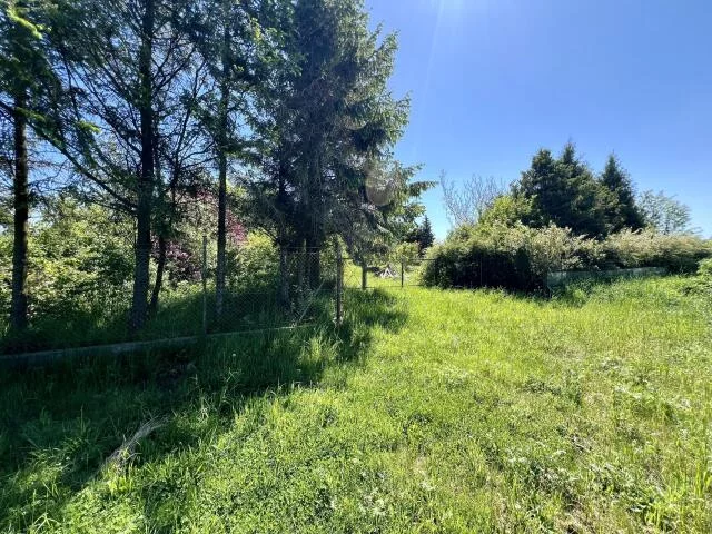 Działka 2 228,00 m², oferta nr , 24326, Stary Borek