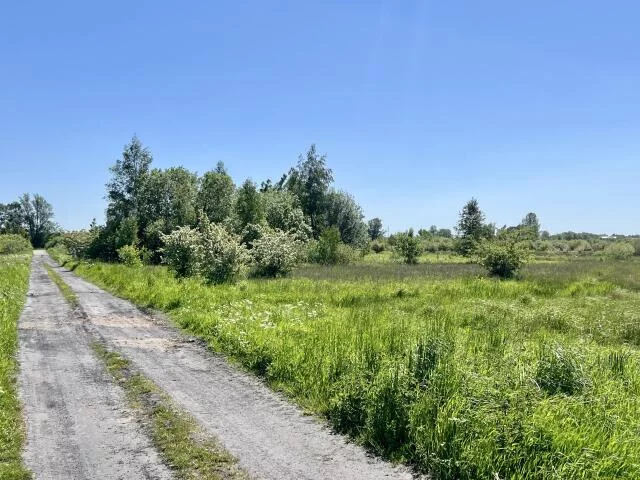 Działka 2 228,00 m², oferta nr , 24326, Stary Borek
