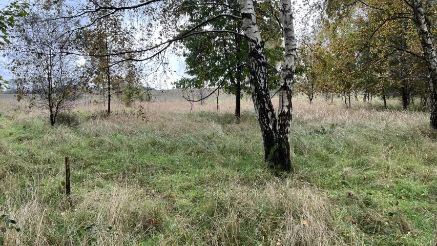 Działka 1 778,00 m², oferta nr , 24661, Dygowo, Wesoła