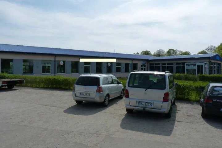 Lokal użytkowy 968,00 m², Czernin, Sprzedaż