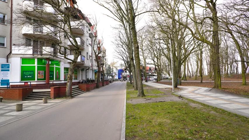 24569 - zdjęcie nr 1