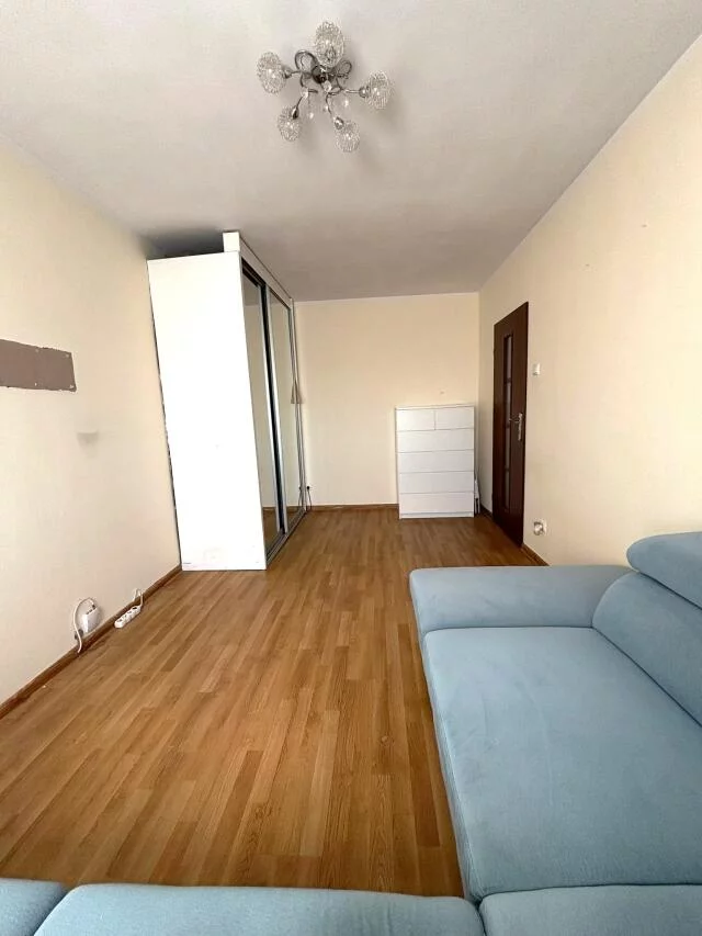 24666 - zdjęcie nr 3