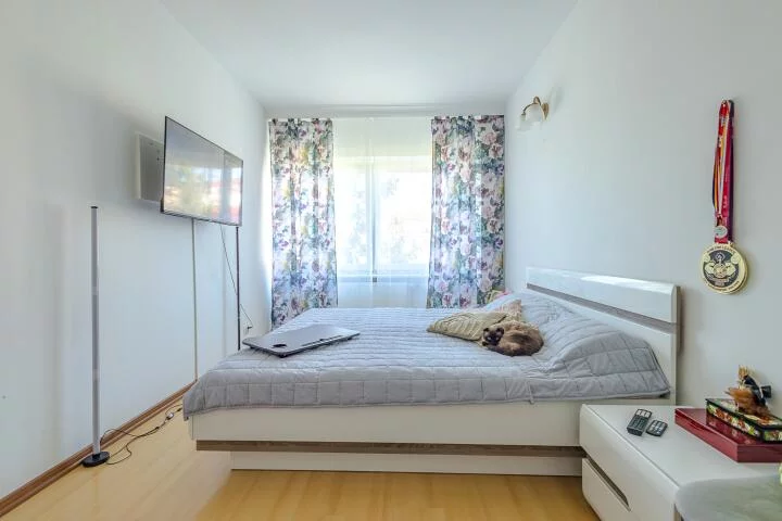 24626 - zdjęcie nr 1