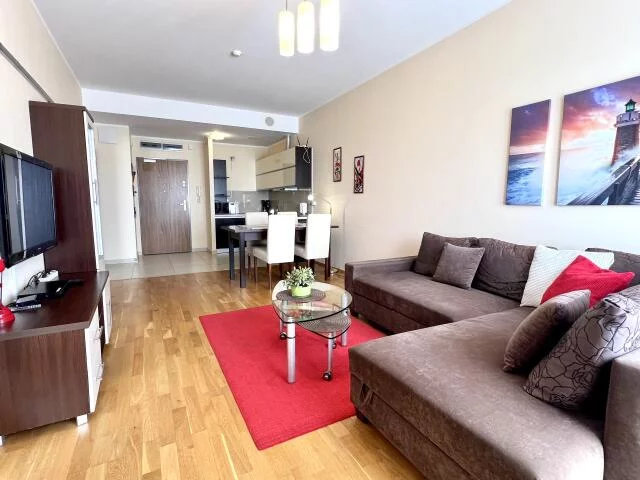 24625 - zdjęcie nr 2