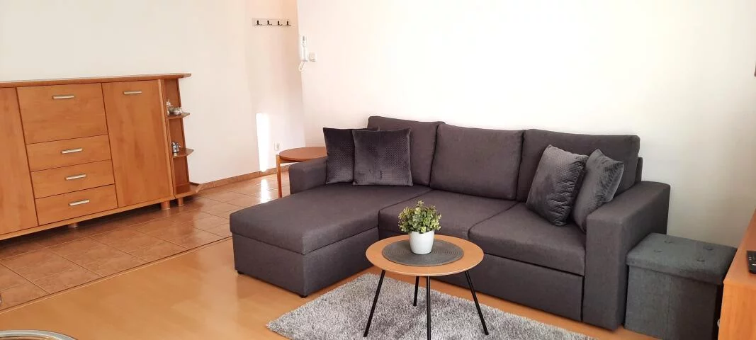 23322 - zdjęcie nr 2