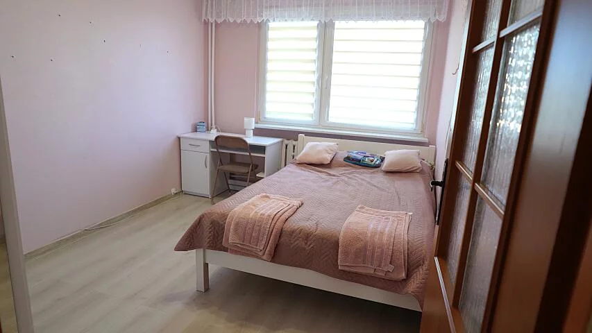 24708 - zdjęcie nr 2