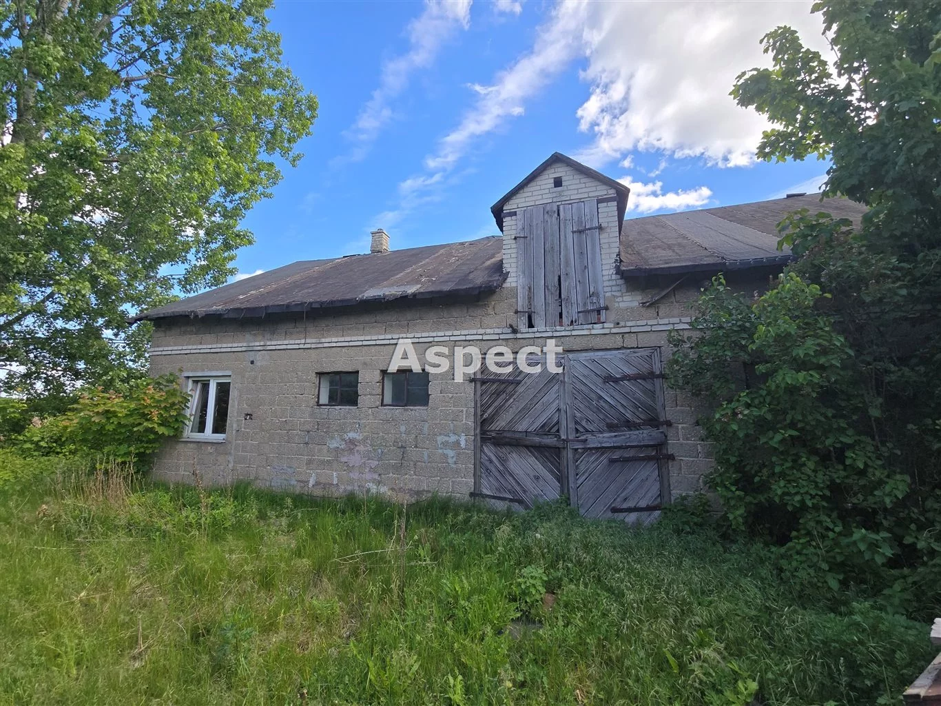 APO-DS-50874 - zdjęcie nr 0