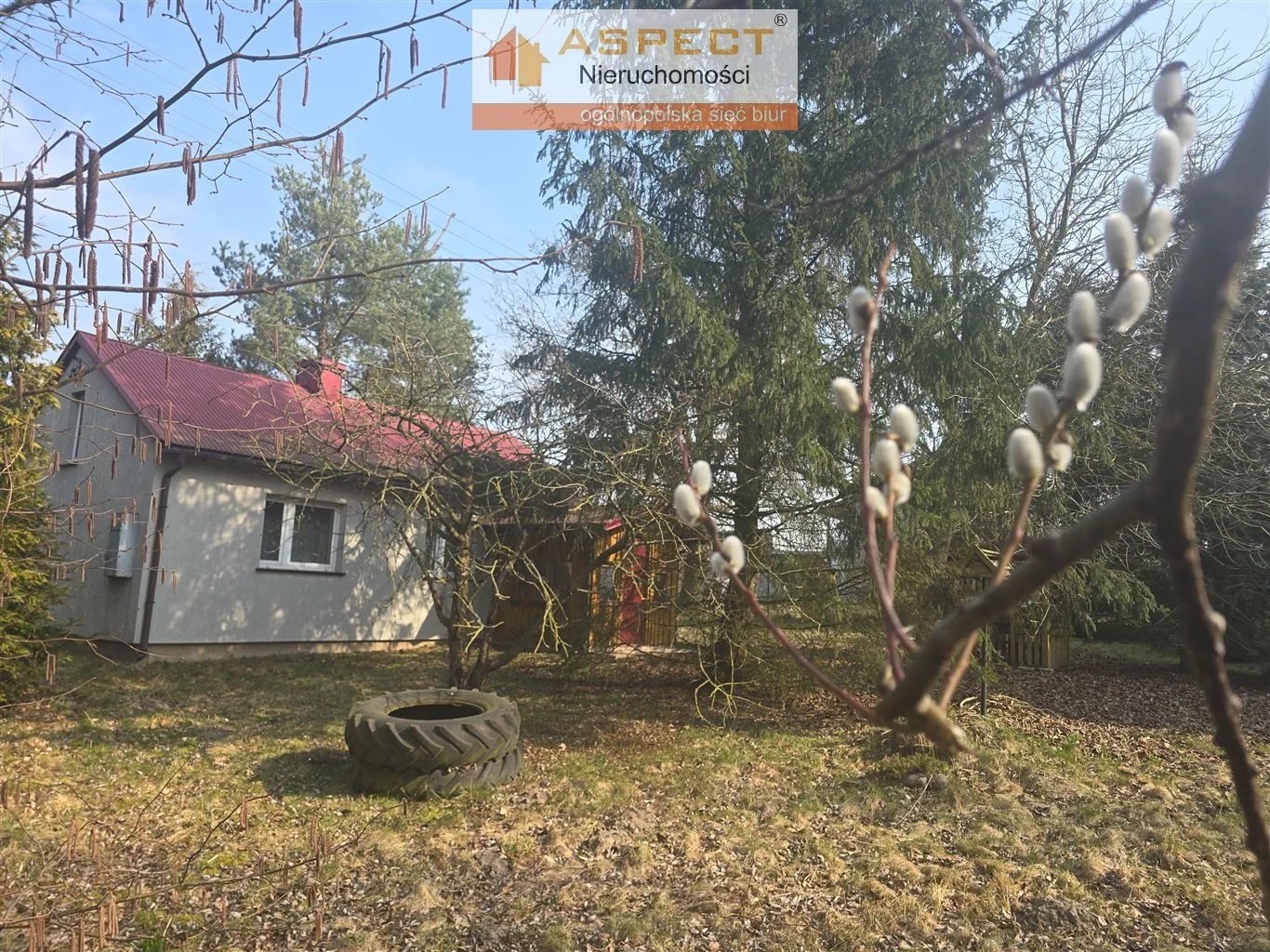 APO-DS-50428 - zdjęcie nr 0