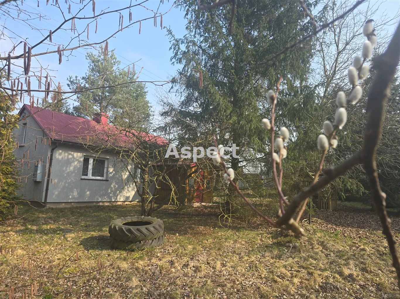 APO-DS-50864 - zdjęcie nr 3