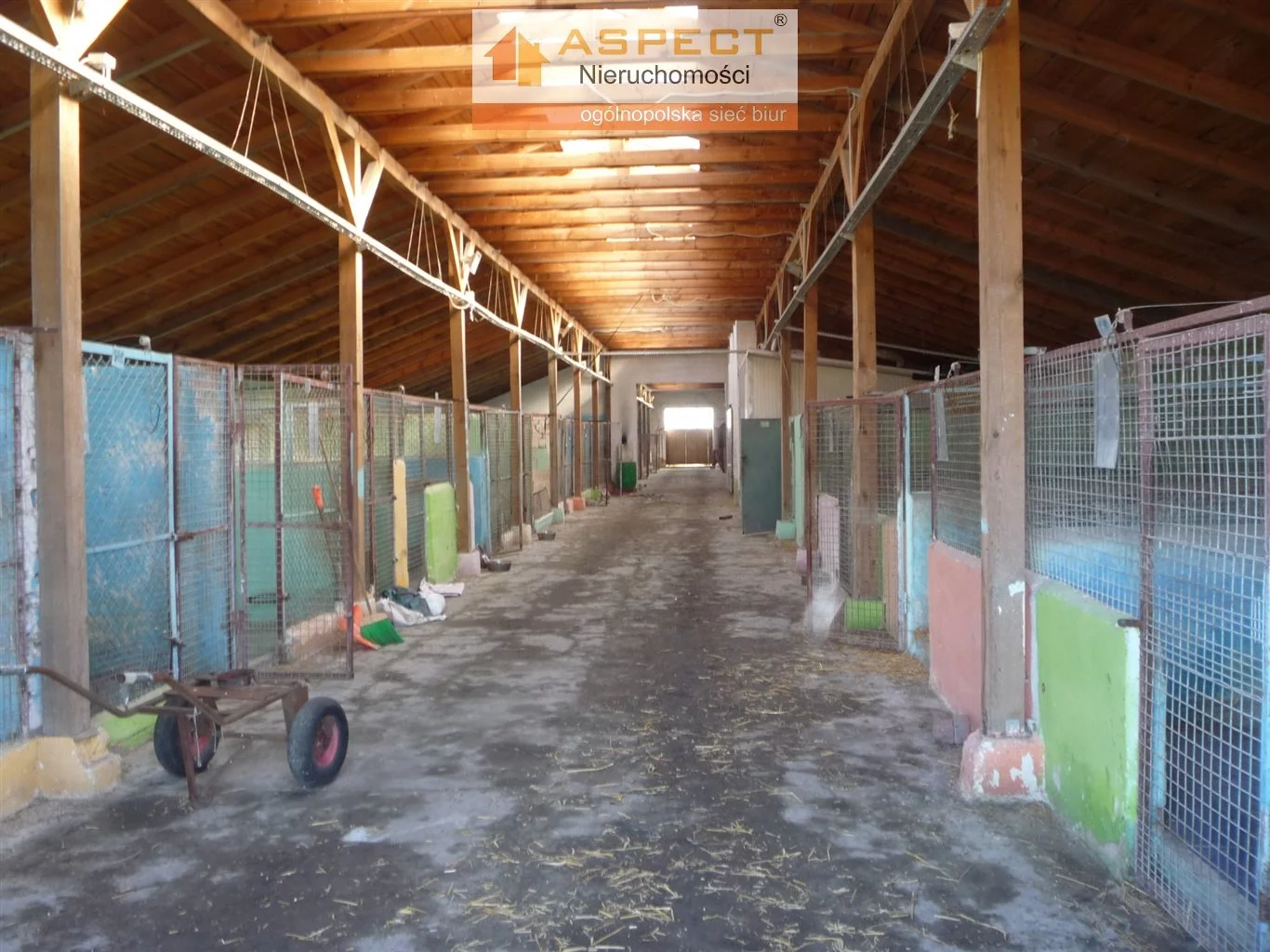 Dom 300,00 m², oferta nr , ASK-DS-49022, Kutno
