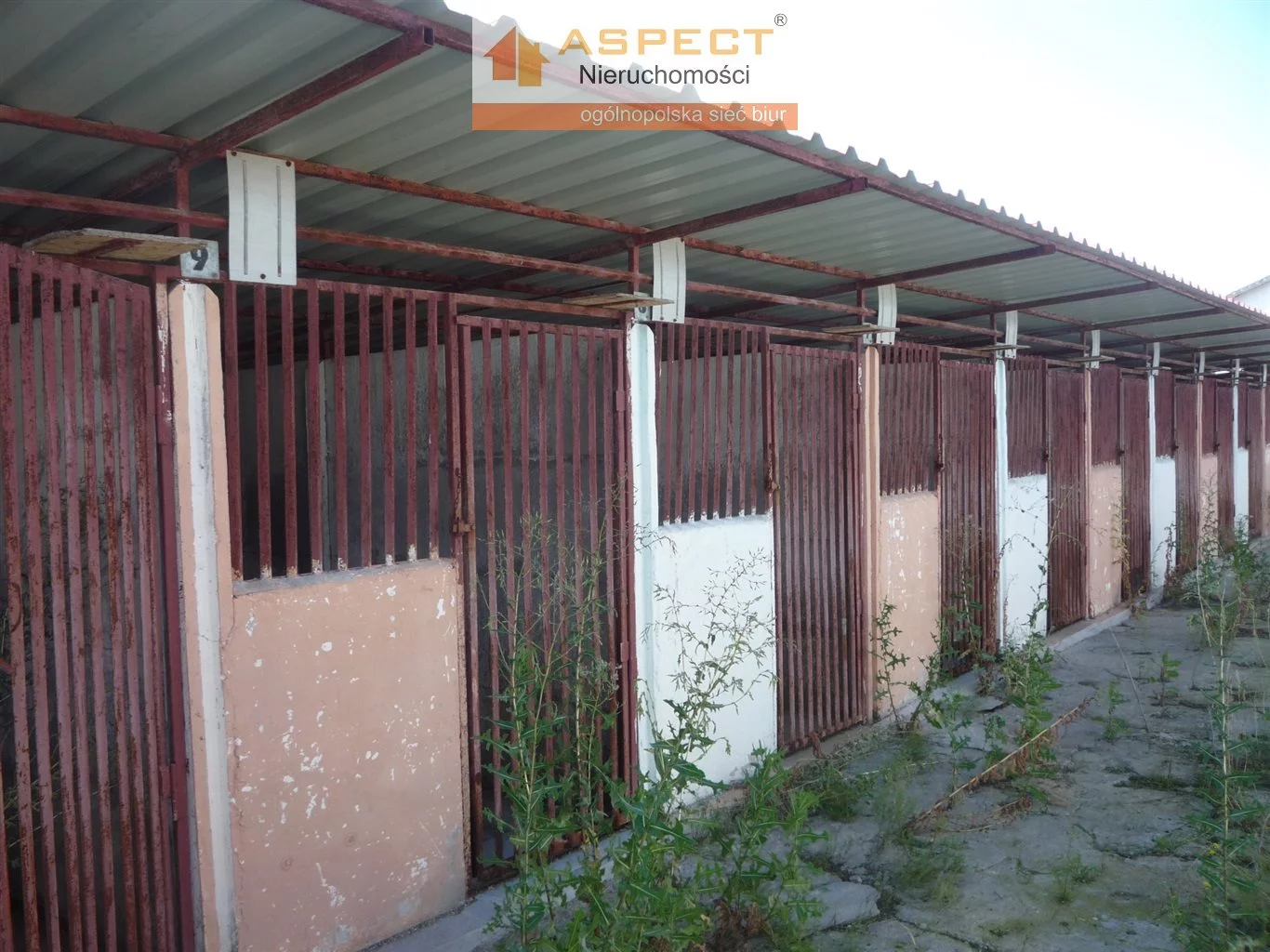 Dom 300,00 m², oferta nr , ASK-DS-49022, Kutno