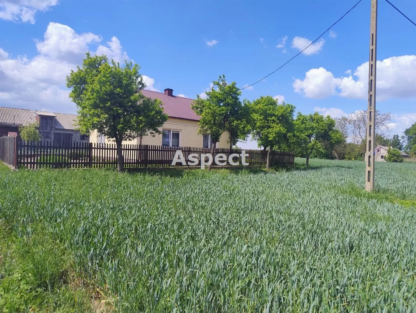 APO-DS-51001 - zdjęcie nr 0