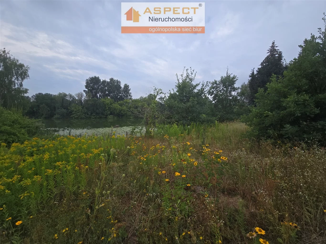 Dom 90,00 m², oferta nr , APO-DS-50482, Bodzanów