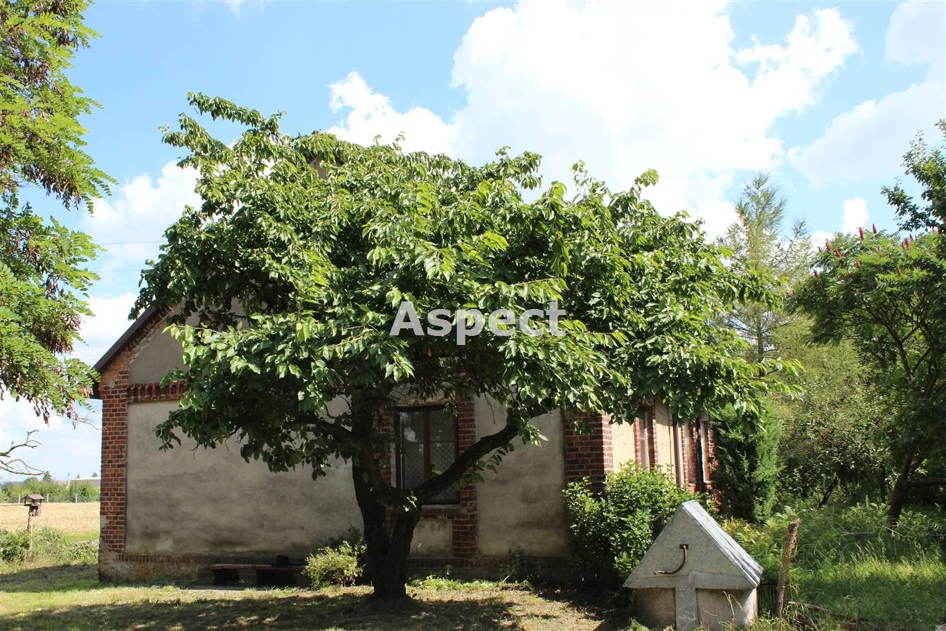 Domy APO-DS-51255 Gąbin