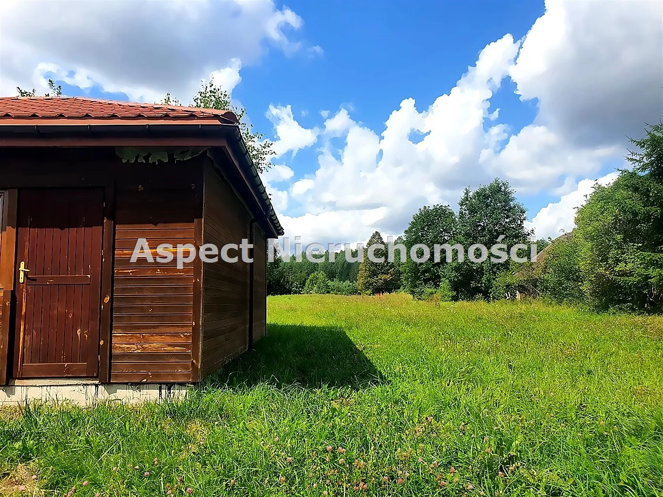 ASM-DS-50985 - zdjęcie nr 2