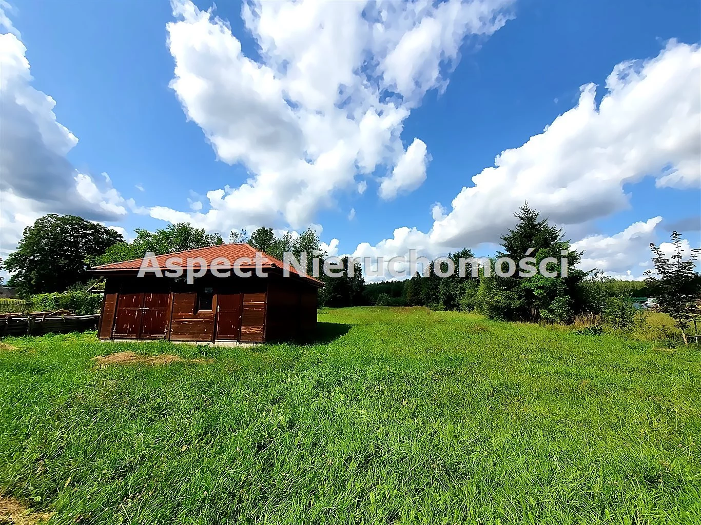 ASM-DS-50985 - zdjęcie nr 3