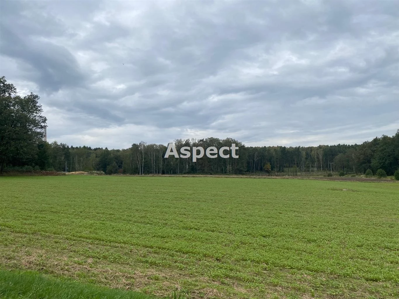 Dom 136,00 m², oferta nr , ASP-DS-51154, Żory