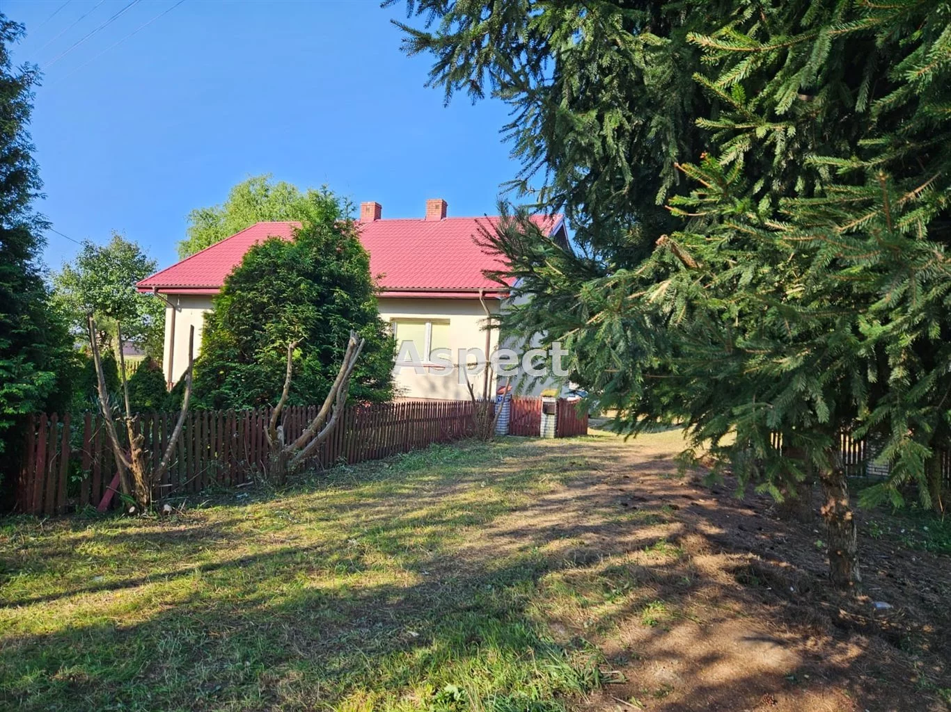 APO-DS-50952 - zdjęcie nr 0