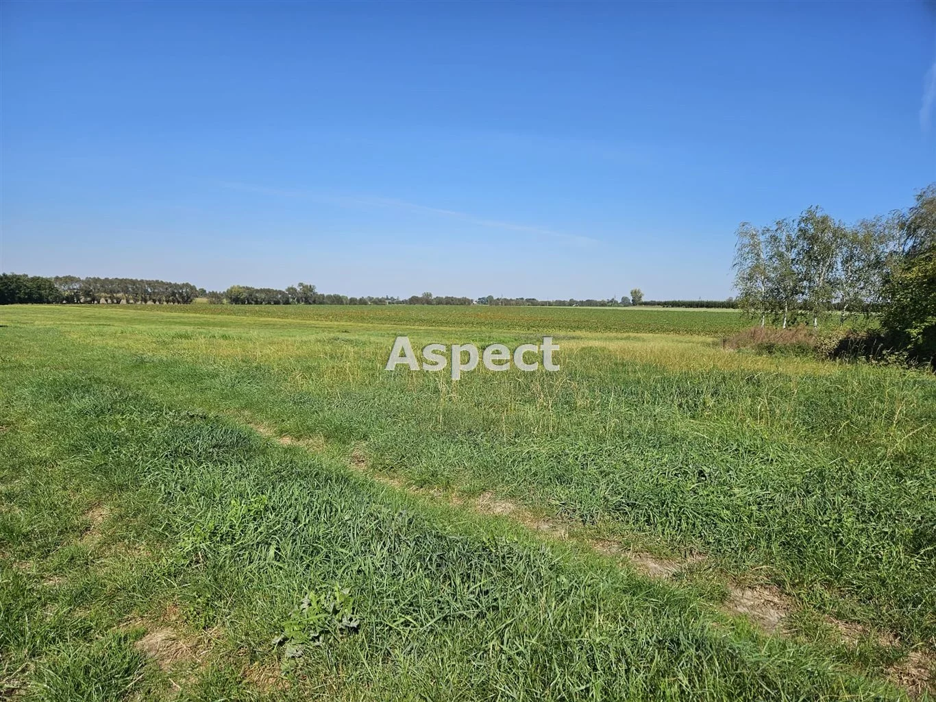 Dom 88,00 m², oferta nr , APO-DS-51156, Bulkowo