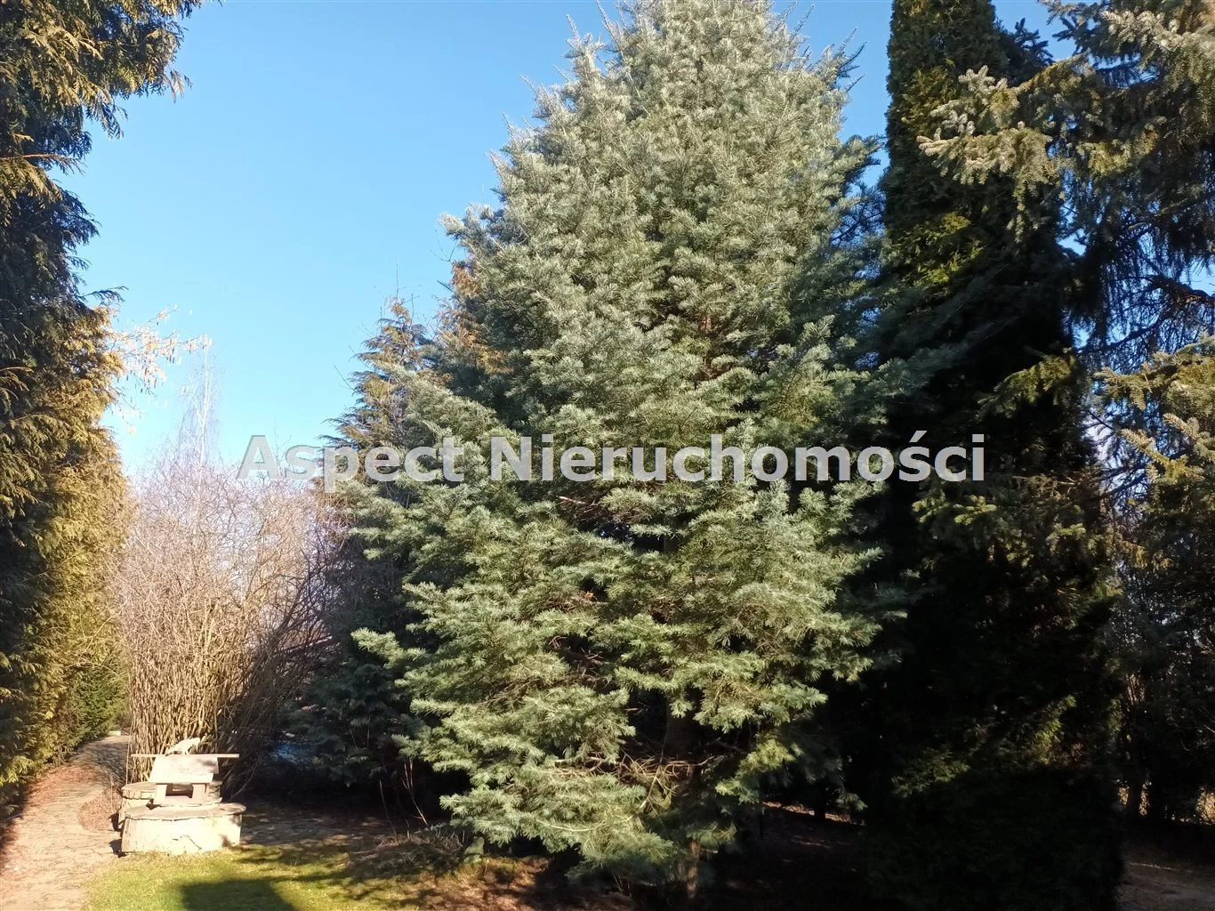 Dom 200,00 m², oferta nr , ASJ-DS-50088, Goleszów