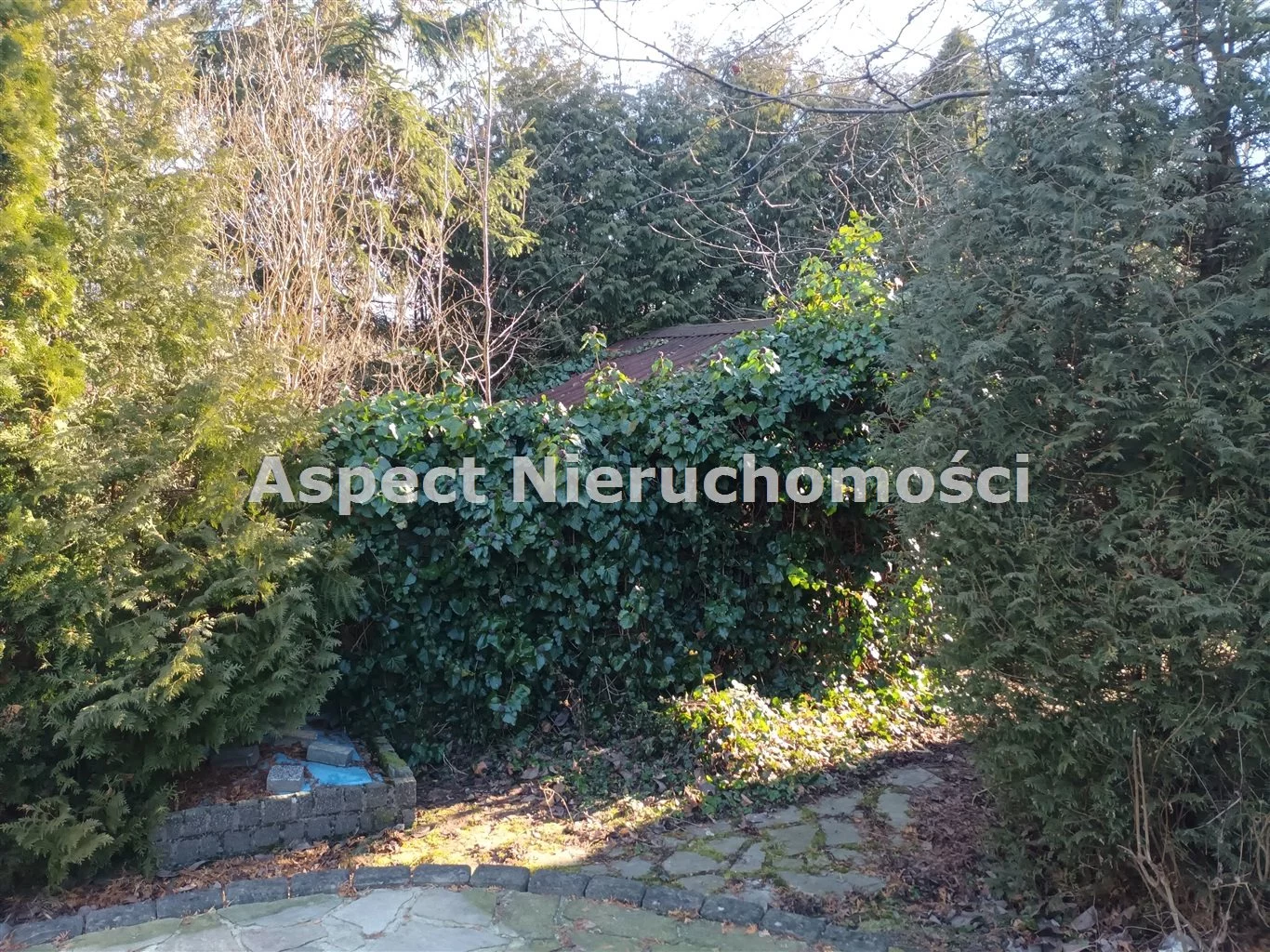 Dom 200,00 m², oferta nr , ASJ-DS-50088, Goleszów
