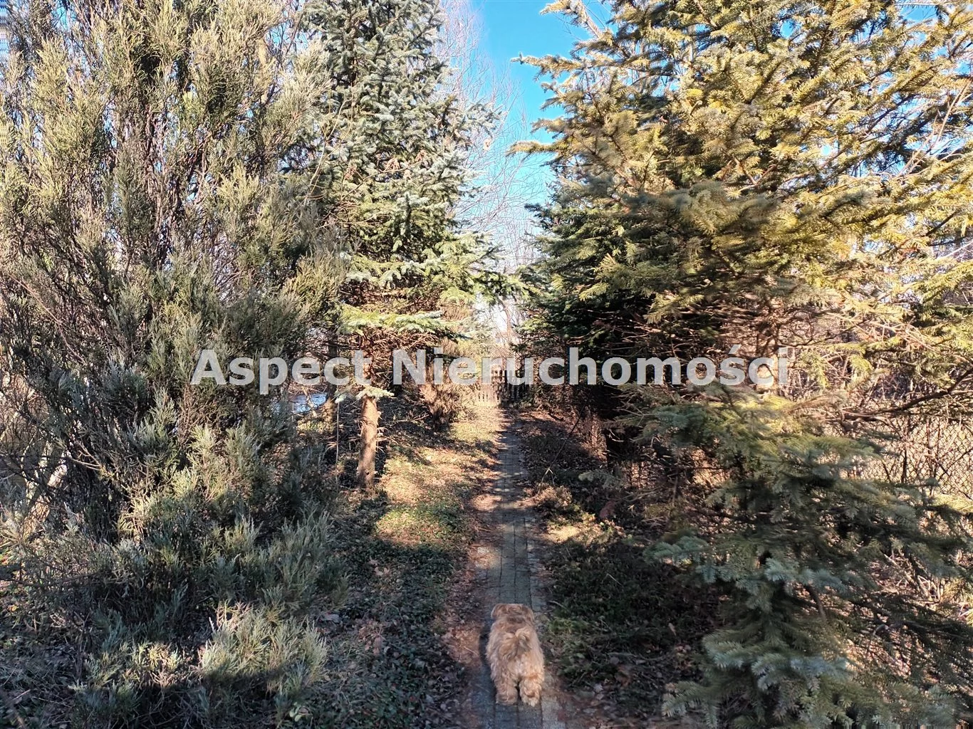 Dom 200,00 m², oferta nr , ASJ-DS-50088, Goleszów