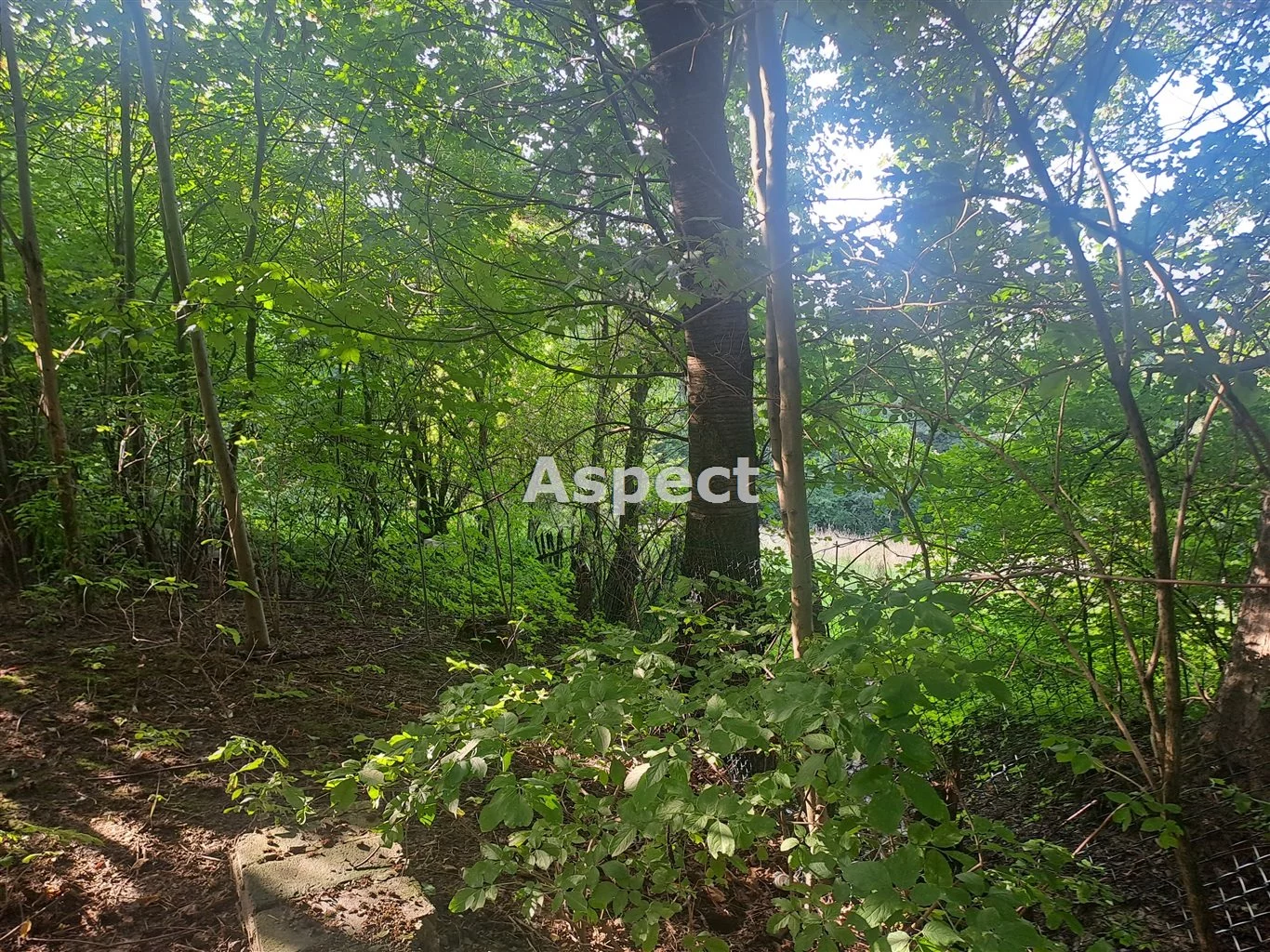 Dom 100,00 m², oferta nr , ASR-DS-50988, Ropczyce