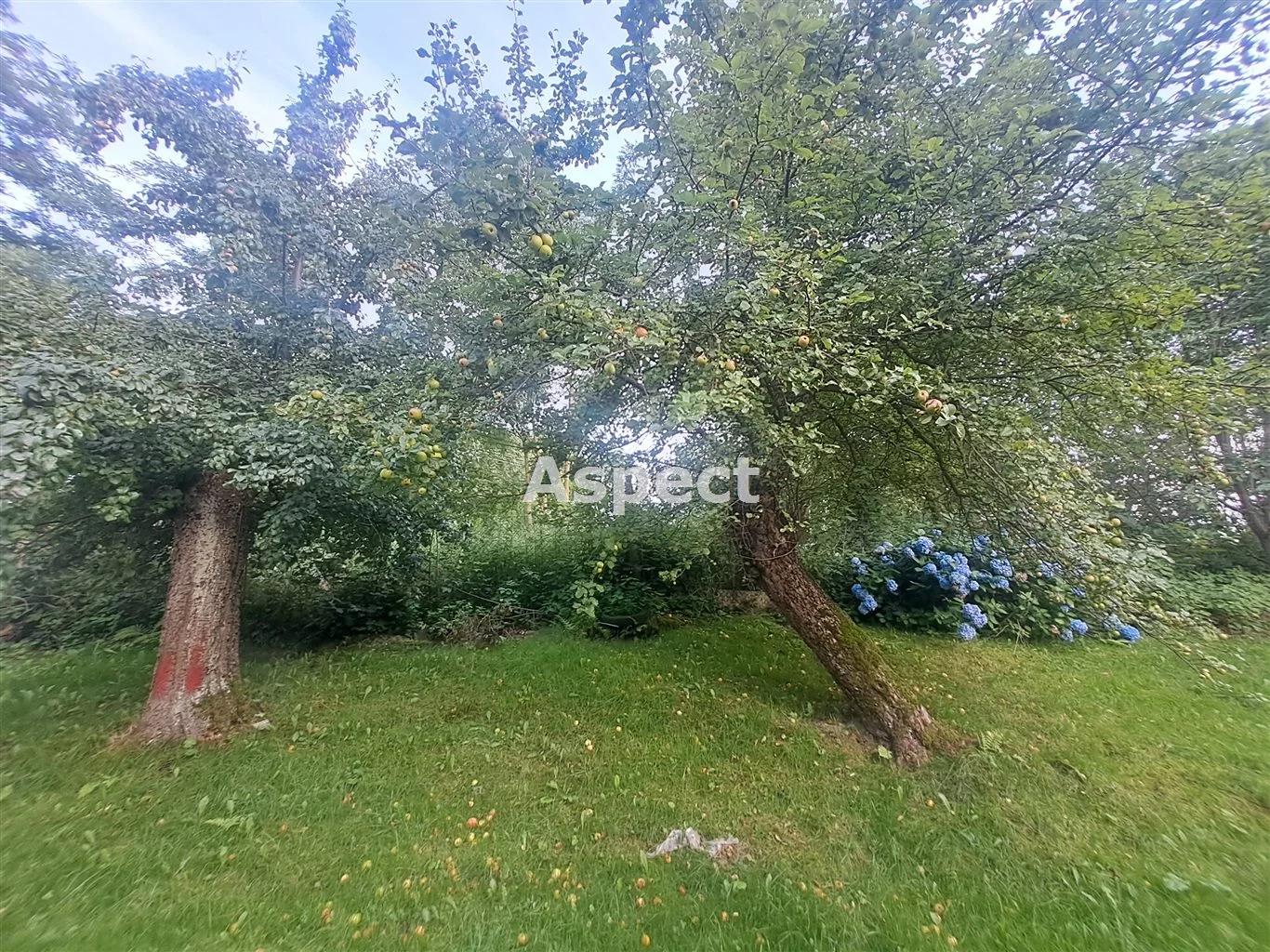 Dom 100,00 m², oferta nr , ASR-DS-50988, Ropczyce