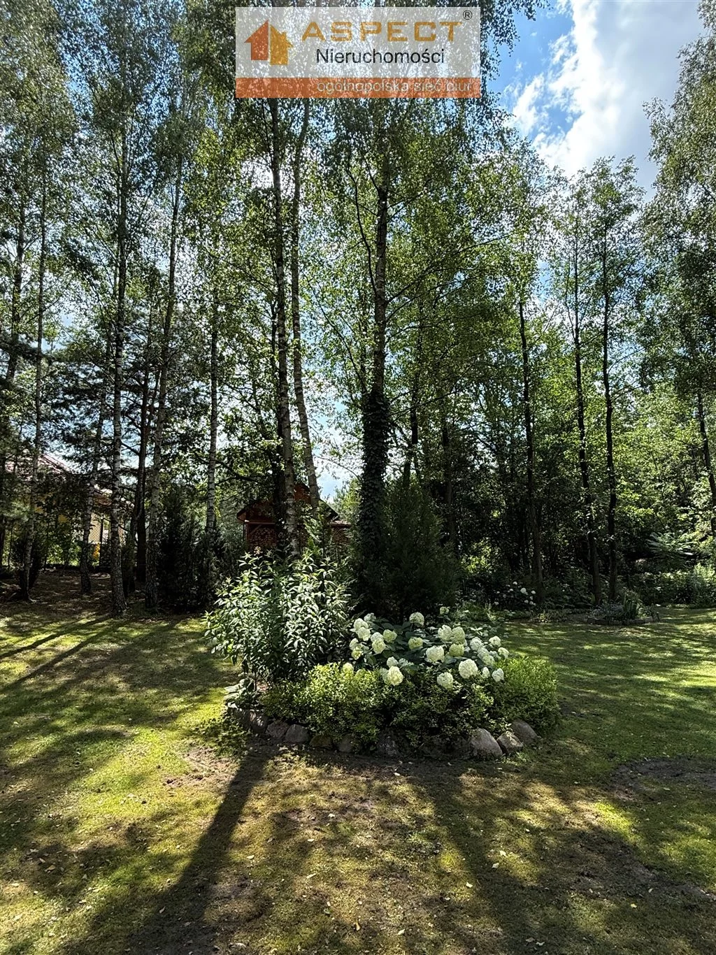 AWY-DS-51018 - zdjęcie nr 3