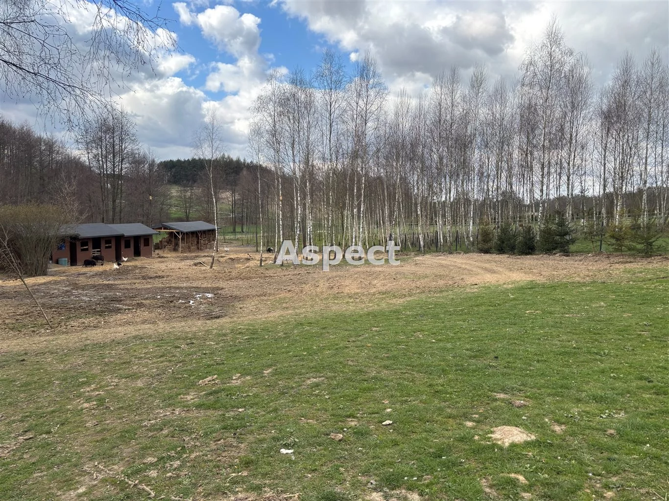 Dom 193,00 m², oferta nr , ASJ-DS-50424, Zebrzydowice