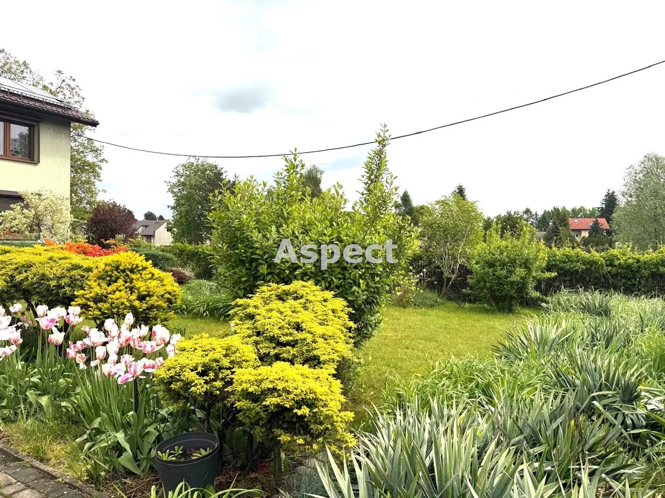 Domy ASP-DS-50313 Pszczyna