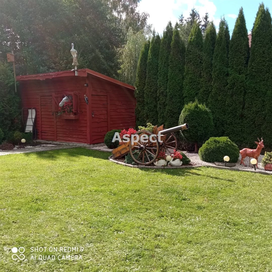 ASR-DS-51011 - zdjęcie nr 3