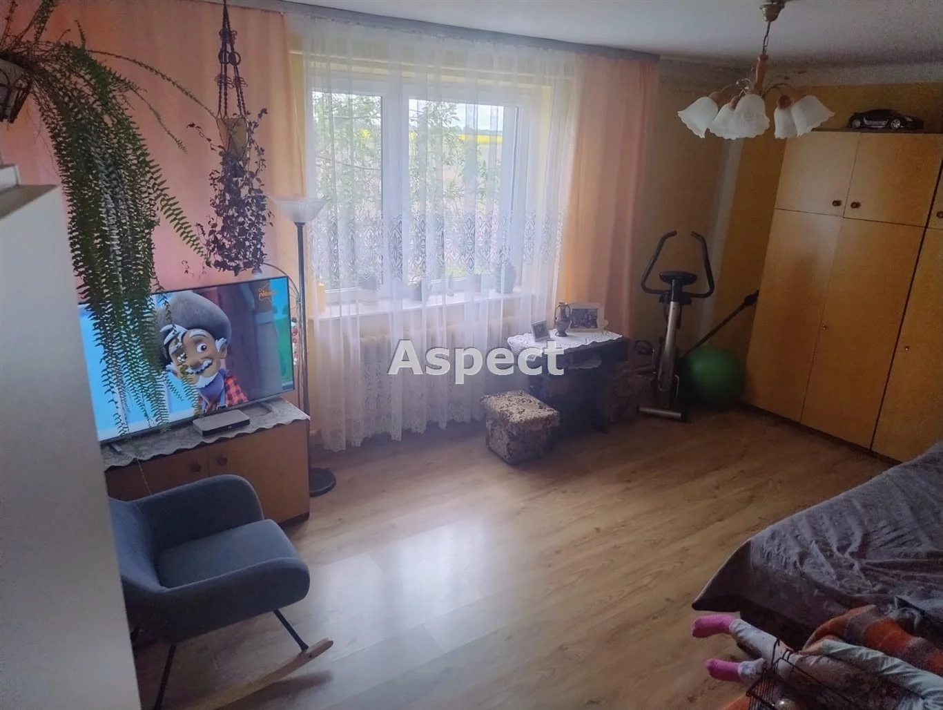 APO-DS-50853 - zdjęcie nr 3