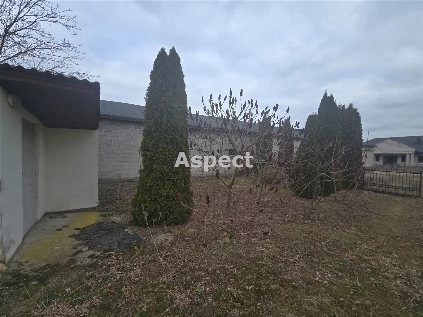 APO-DS-50857 - zdjęcie nr 4