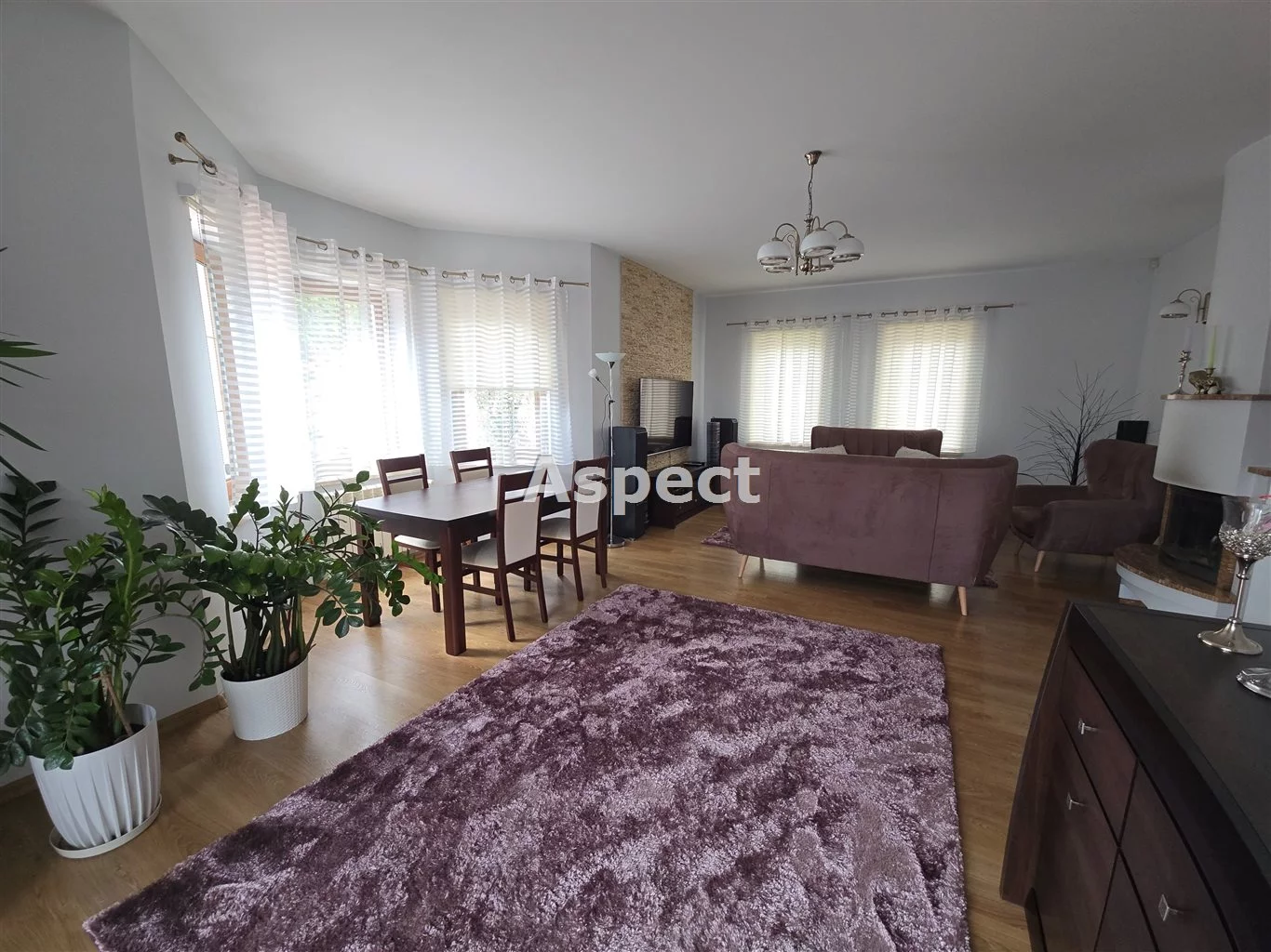 APO-DS-50957 - zdjęcie nr 2