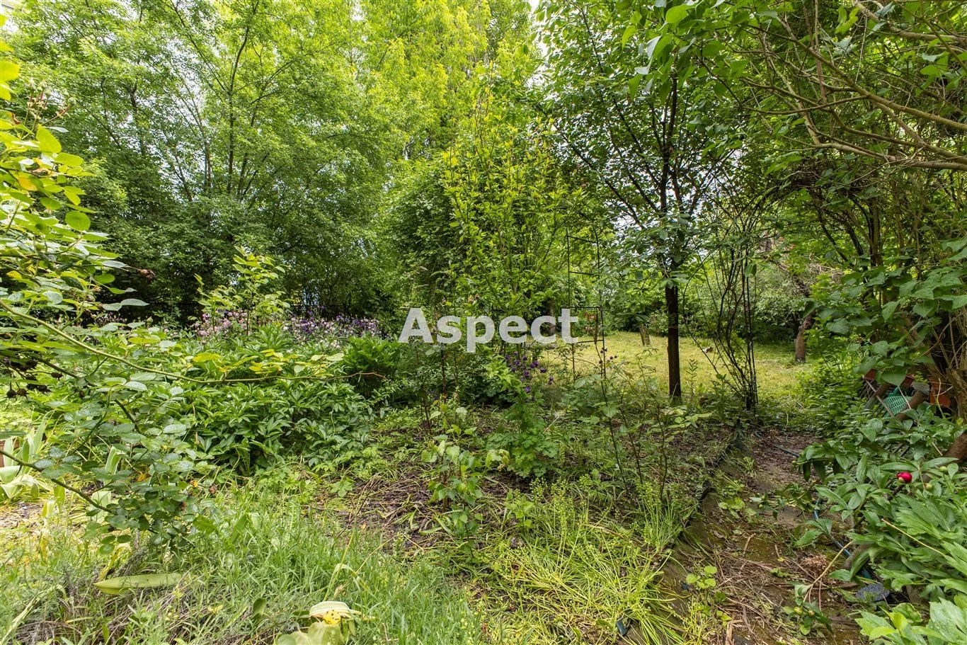 API-DS-50677 - zdjęcie nr 1