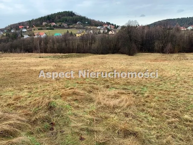 Działka 11 359,00 m², oferta nr , APK-GS-48243, Andrychów