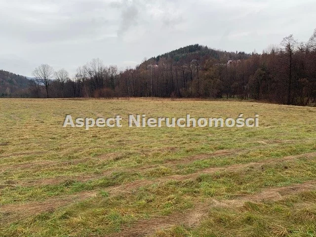 Działka 22 592,00 m², oferta nr , APK-GS-48323, Andrychów