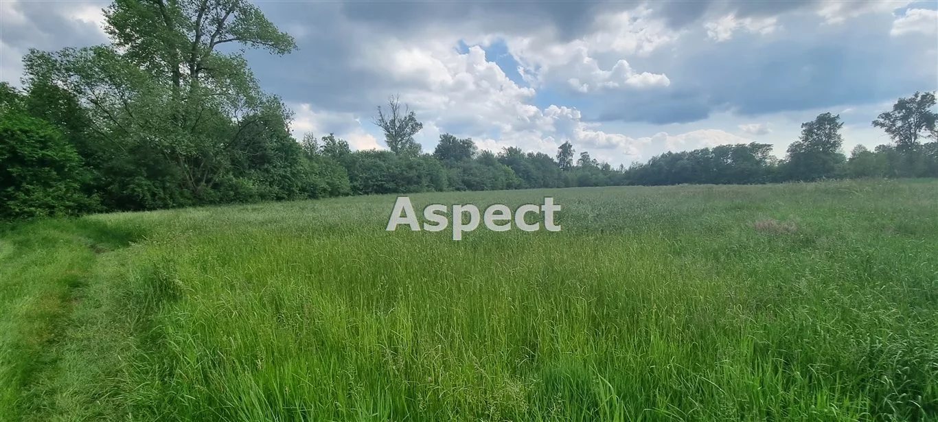 APO-GS-50846 - zdjęcie nr 0