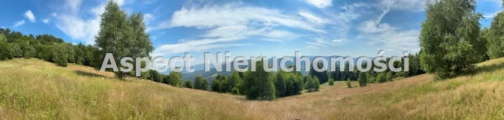 Działka 25 399,00 m², oferta nr , ASJ-GS-48975, Brenna