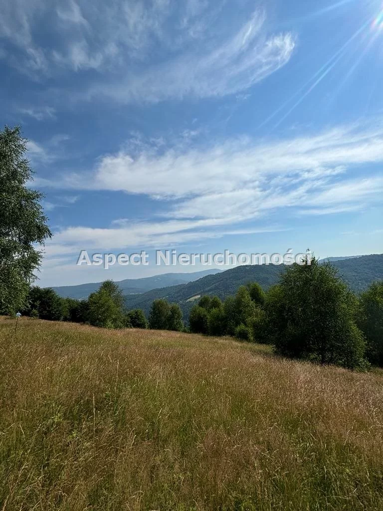 Działka 25 399,00 m², oferta nr , ASJ-GS-48975, Brenna