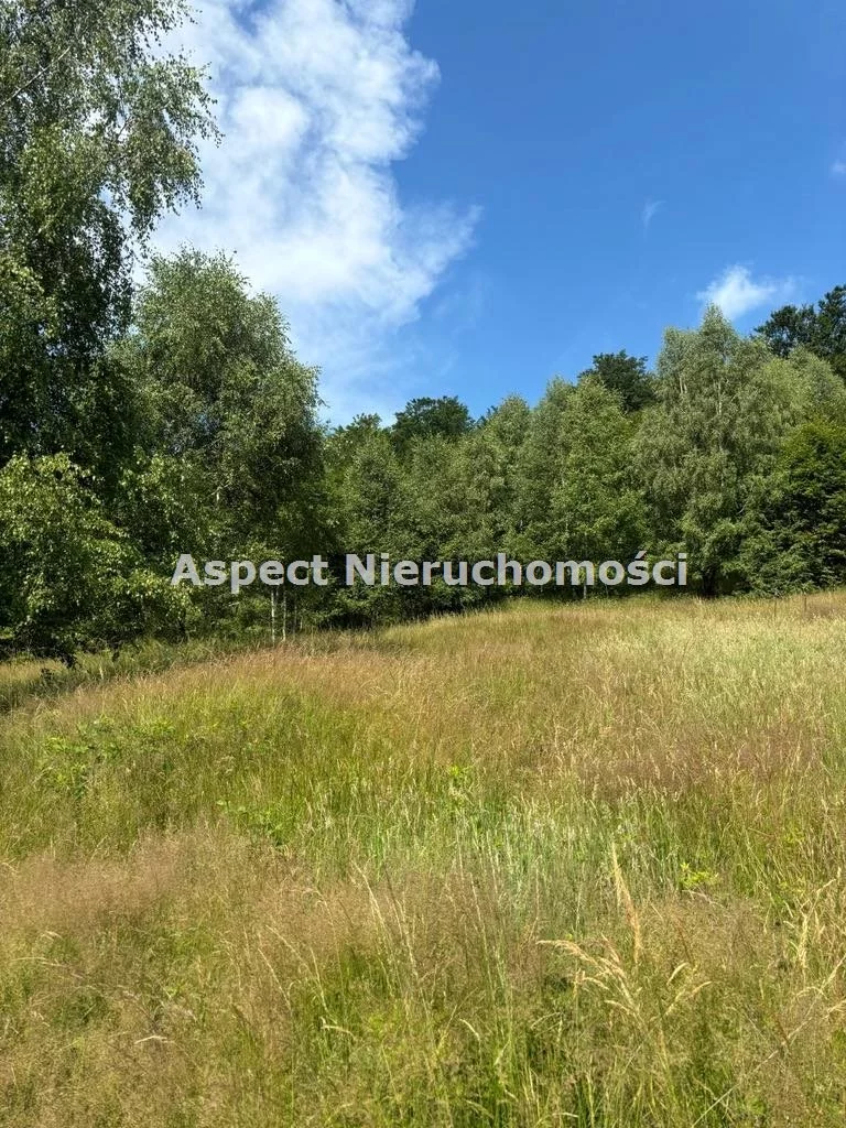 Działka 25 399,00 m², oferta nr , ASJ-GS-48975, Brenna